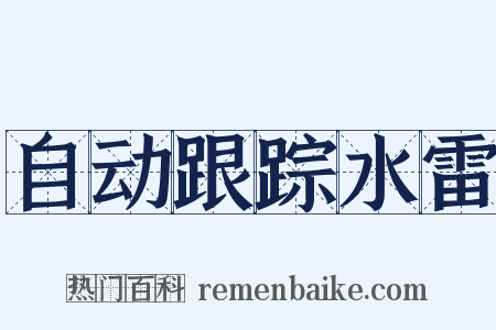 自动跟踪水雷是什么意思的图片